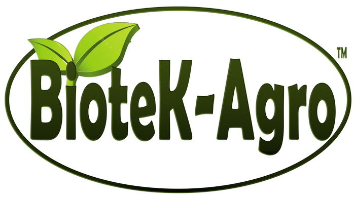 агромаркет 24 саженцы интернет магазин. ростагро логотип. агроинновации чувашия. канмаш логотип. надпись агро.