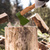 Топор кованный, в сборе, 600/850 г, деревянное топорище, 400 мм, Б1 Сибртех #9