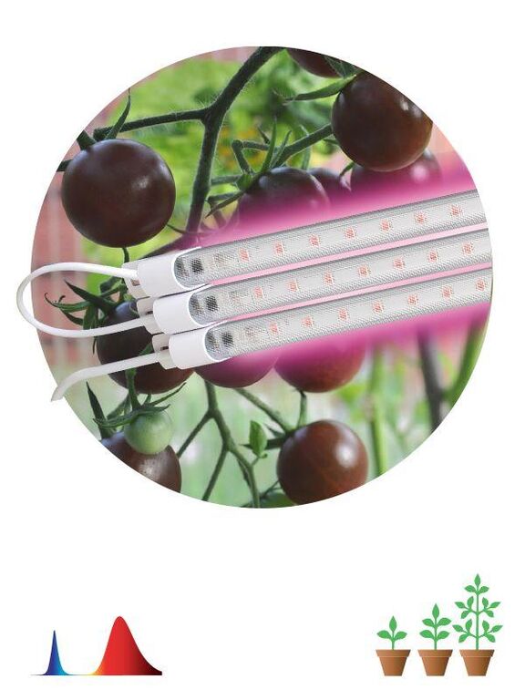 Светильник модульный для растений FITO-3х10W-LINE-RB90 30Вт красно-синего спектра ЭРА Б0050924 Эра