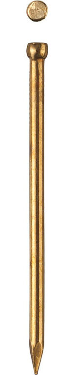ЗУБР 25 x 1.4 мм, 50 шт, латунированные финишные гвозди, Профессионал (305336-14-25) Зубр