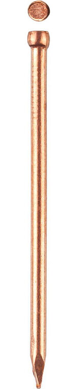ЗУБР 25 x 1.4 мм, 50 шт, омедненные финишные гвозди, Профессионал (305356-14-25) Зубр